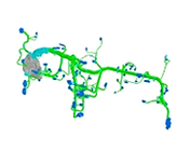 2.Main Wiring harness